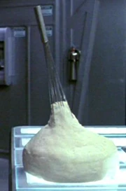 Mashed potatoes.