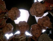 The magnificent Ferengi
