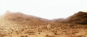 The surface of Kolarus III