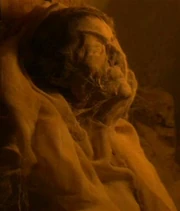 The mummy of T'Klaas.