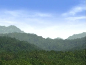 The surface of Ledos