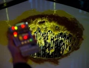 Mucilaginous compound on a transporter pad.