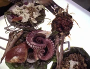 A plate of Klingon food.