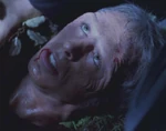 A dying colonist