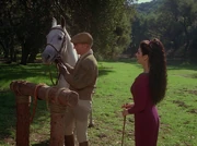 Equestrian adventure in use in 2365