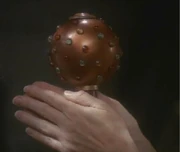 A Bajoran cabasa