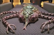 A Delta Quadrant cytoplasmic lifeform.