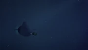 A Project 705 class submarine
