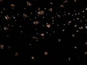 The remains of Orelious IX