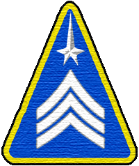 Parche de rango de sargento en 2155 sergeant.