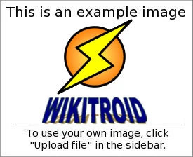 Image:Example.jpg