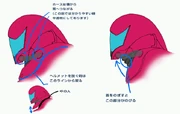 The Helmet has several articulated segments.