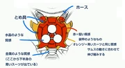 The Diodes on the back of the Fusion Suit allow for new upgrades to be downloaded.