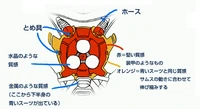 The Diodes on the back of the Fusion Suit allow for new upgrades to be downloaded.