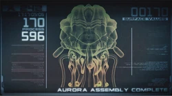Aurora