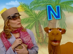 The Adventures of Gina the Veterinarian