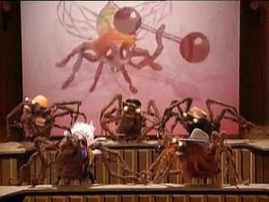 Macho, macho bugs.