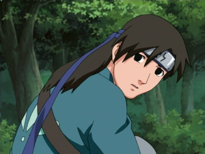 http://images3.wikia.nocookie.net/naruto/images/thumb/e/e1/Shibuki1.PNG/300px-Shibuki1.PNG