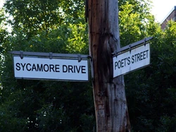 Sycamore Drive, Artista