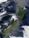 Current New Zealand logo