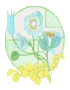 Image:Armic's Flower.png