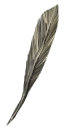 Quill Pen