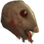Image:Diseased Rat Heads.png