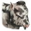 Image:Warpig.png