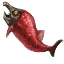 Image:Sockeye.png