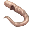 Image:Plague Rat Tails.png