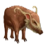 Image:Sageboar.png
