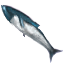Image:Cod.png