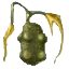 Image:Larva Pods.png