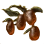 Image:Blunderberries.png