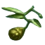 Image:Boulder Berries.png