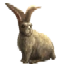 Image:Bunny Darko.png