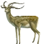 Image:Quadhorn.png