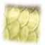 Image:Bluegill Scales.png