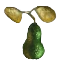 Image:Mini Pears.png