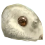 Image:Owlmouse Heads.png