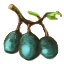 Image:Juniper Berries.png