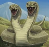 Tyrhiss