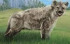 Rabid Hyena