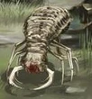 Ant Lion