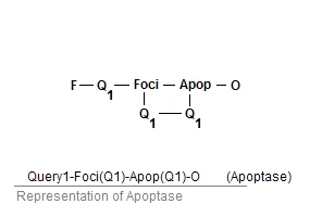 representation of Apoptase