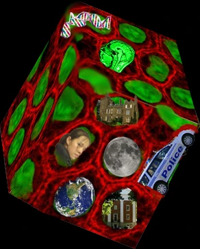 Cellular Civilization