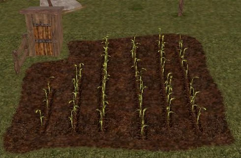 Image:RIP-Tree-Farms 2.JPG