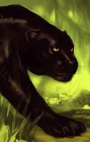 panther portrait