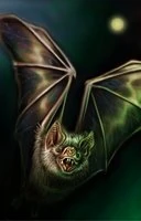 bat portrait