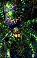 giant spider portrait